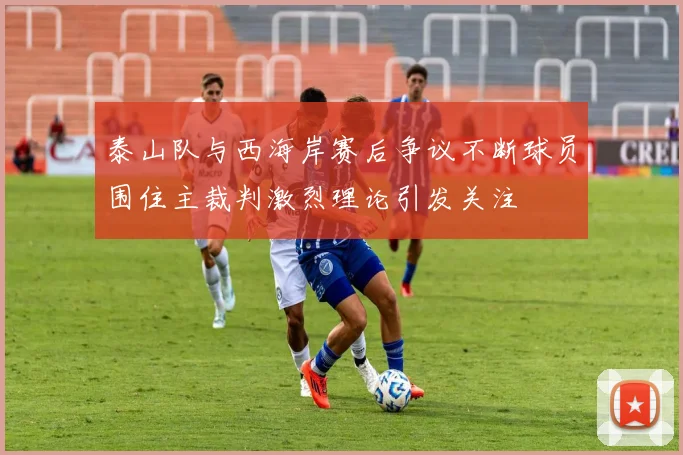 泰山队与西海岸赛后争议不断球员围住主裁判激烈理论引发关注